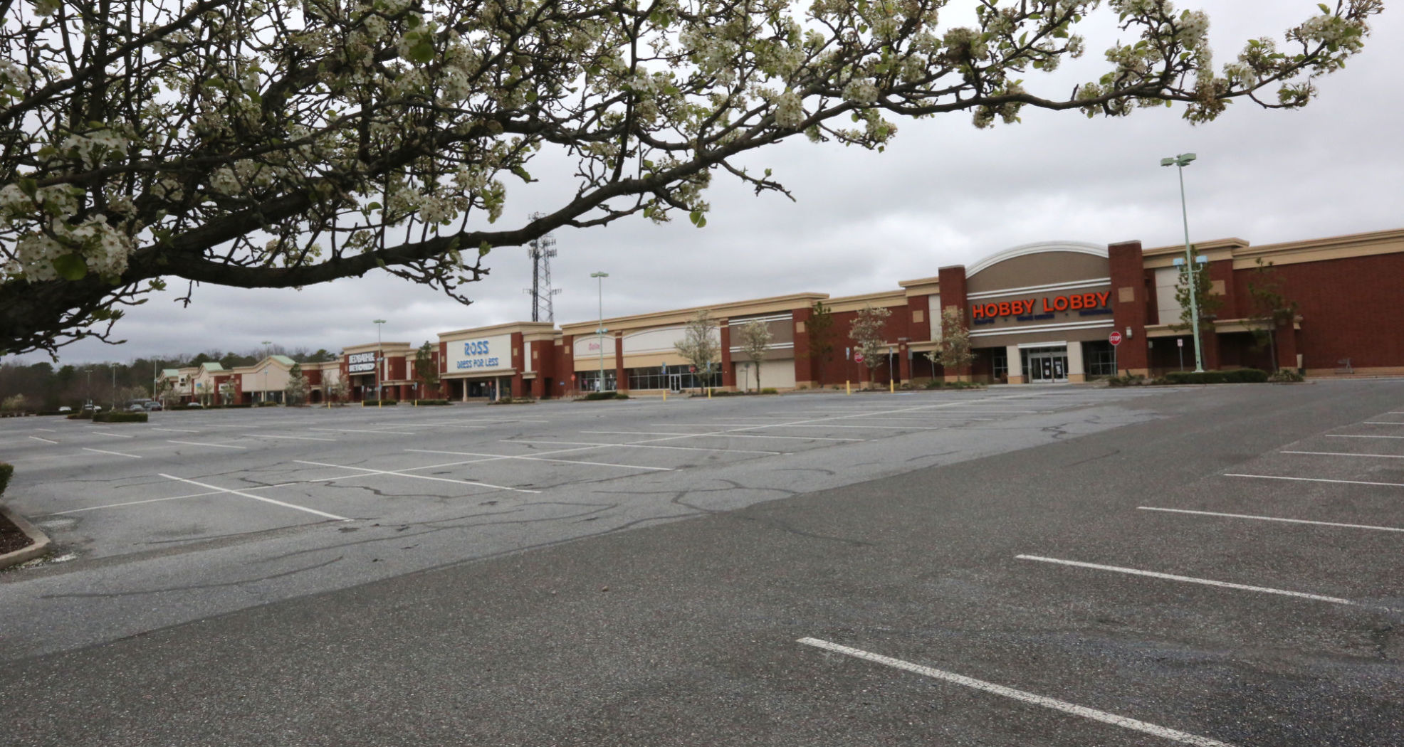 Covid-19 closes South Jersey businesses